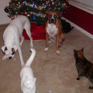 My crew