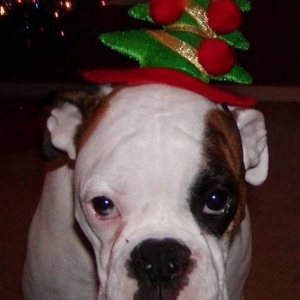 This is humiliating.