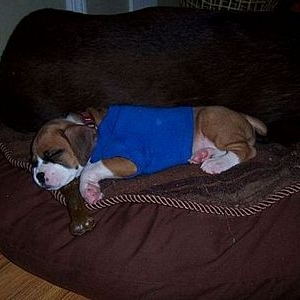 Abby's first day