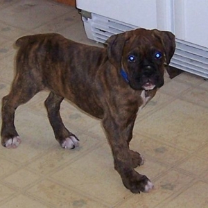 Max's first day