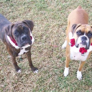 Samantha & Syd 2006