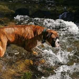 River