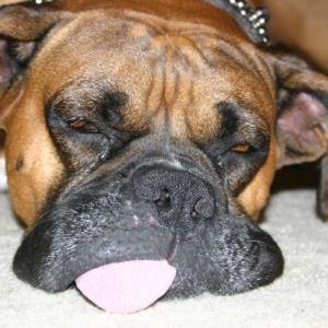 Rough Day