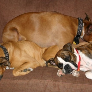 Slumber Party