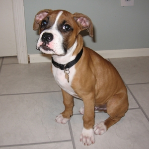 10 Weeks