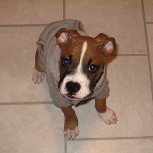 Looking cute in the kitchen