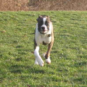 Running