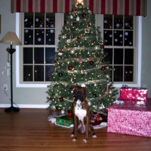 Christmas 2006