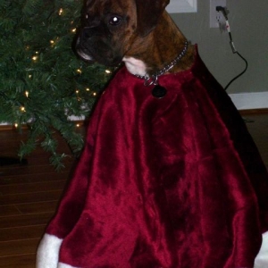 King Spike
