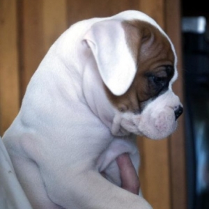 Terramoto at 6 weeks