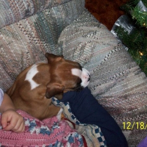 C.J. (8 wks)