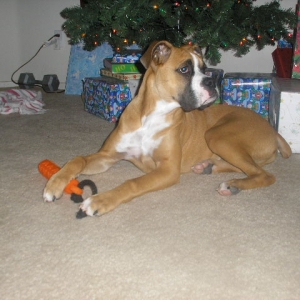REVAN 6 MONTHS