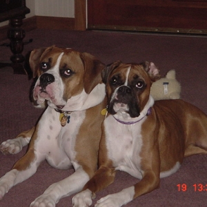 Scooter & Lila