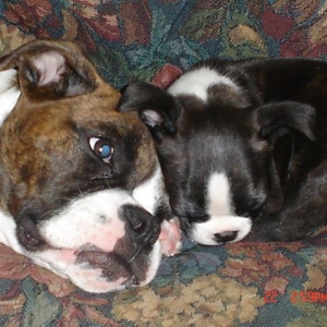Remy and Kilo