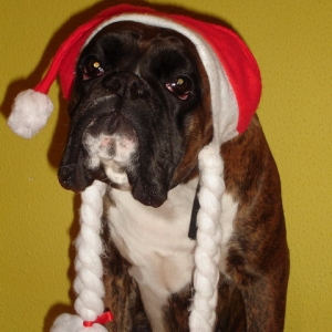 Xmas 2006