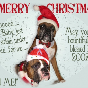 Scrapper and Holly Send Christmas Wishes to all...