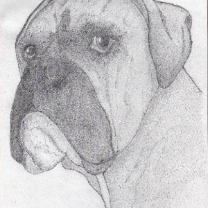 Harvey in pencil