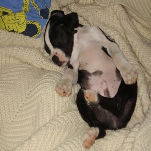 what a belly