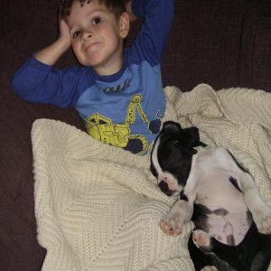 pups make sick kids feel better