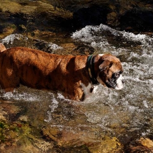 River