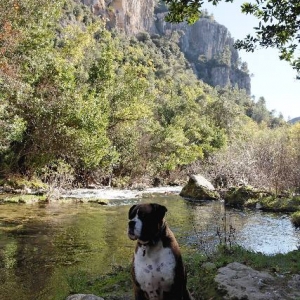 Nice scenery