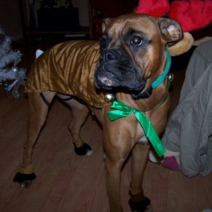 my baby ready to help santa!!!
