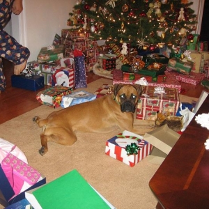 I love Santa!!!