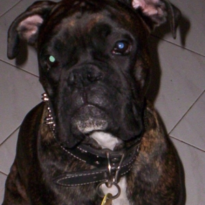 Cassius!