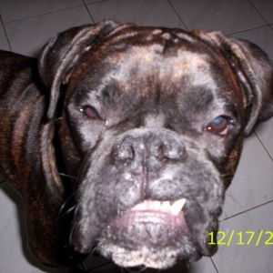 Grr Give me a snack!