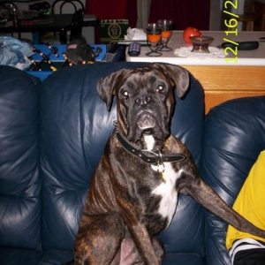 On Daddy's Couch!