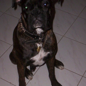 Our Cassius!