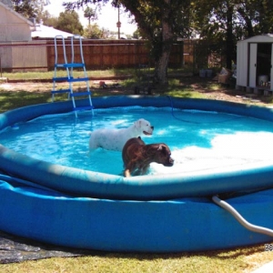 Moses & JJ In the pool
