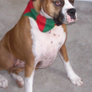 Waiting_for_Santa