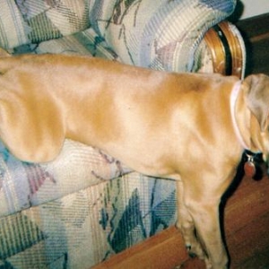 comfortable?
