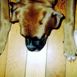 sofies_pics_015