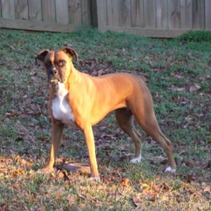 Updated Picture Of Sasha
