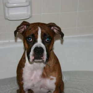 Bath time!