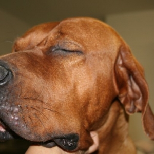 "Ahhhh, that's the spot"