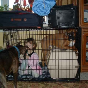 In jail with the guard looking on