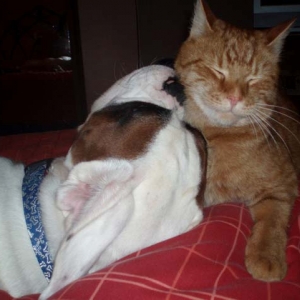 Luka and Milo