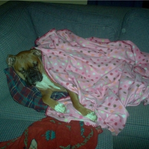 Taking a snooze