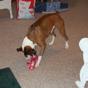 Atlas_Xmas_06-10-2