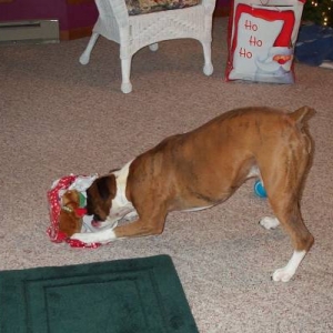 Atlas_Xmas_06-11-2