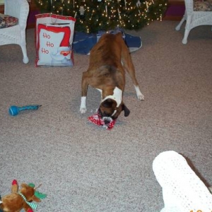 Atlas_Xmas_06-13-2