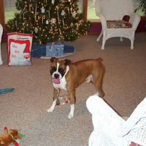 Atlas_Xmas_06-16-2