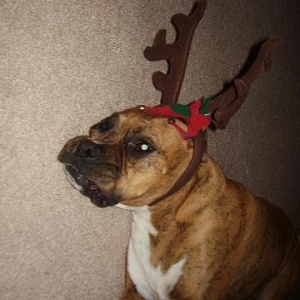 Christmas 2006