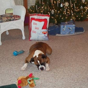 Atlas_Xmas_06-18-2