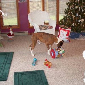 Atlas_Xmas_06-24-2