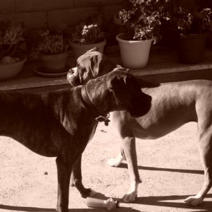 Samantha & Syd