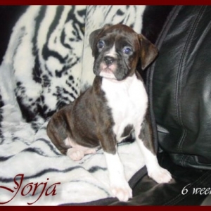 Jorja - 6 weeks